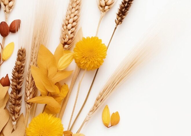 Beauty & shoppen: zo haal je meer uit je volgende shopmoment