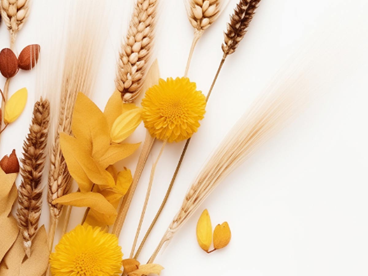 Beauty & shoppen: zo haal je meer uit je volgende shopmoment