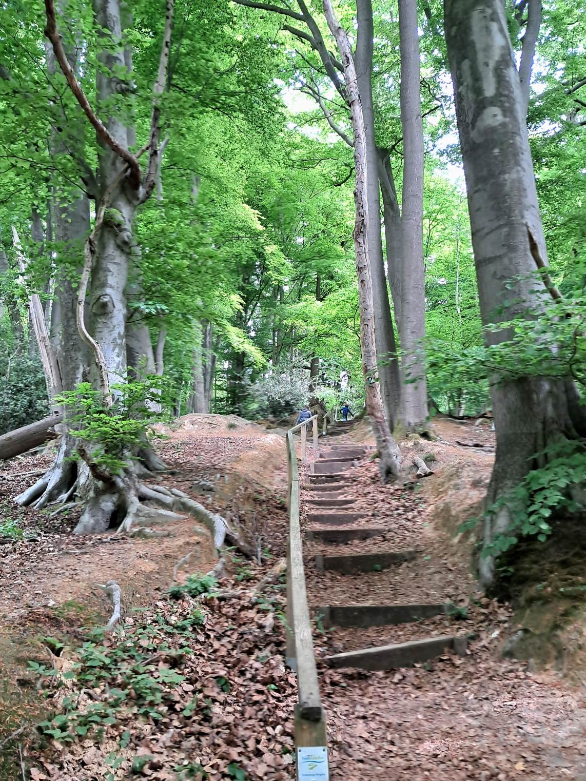 Een spontaan tripje naar Tecklenburg: frisse lucht, uitzicht en even helemaal weg