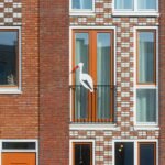 Waarom steeds meer woningen kiezen voor moderne kozijnen en deuren
